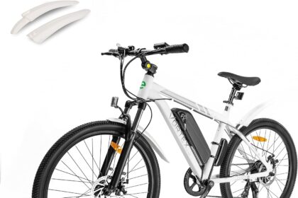 Ecotric Vortex Electric City Bike