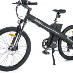 Ecotric seagull electric bike review