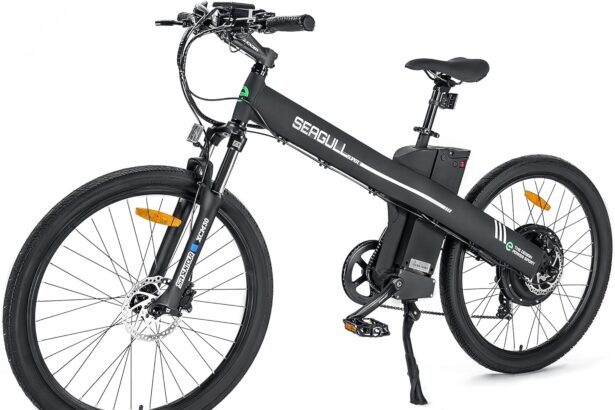 Ecotric seagull electric bike review