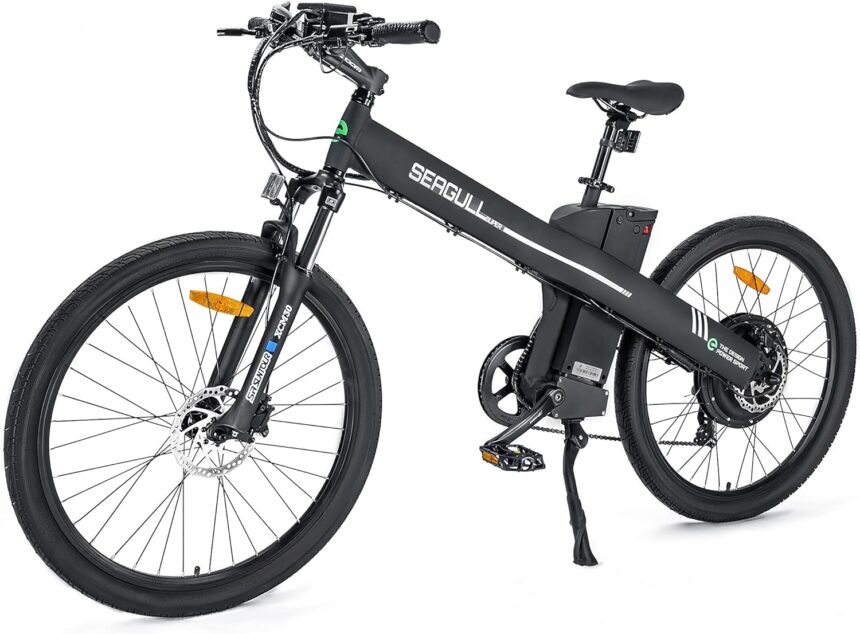 Ecotric seagull electric bike review