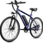 Jasion EB5 Electric Bike for Adults